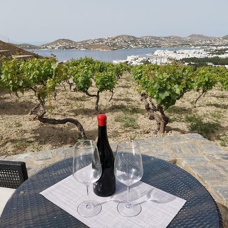 Wonderful Sea View Villa Parikia  Exterior photo